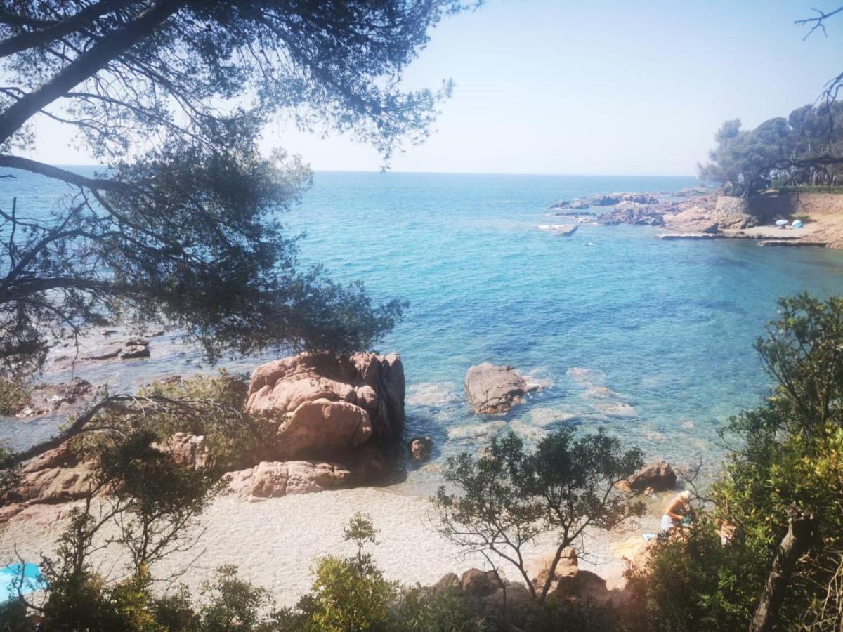 Mobil Home Neuf Camping L Ile Dor Plage St Raphael Avec Piscine Saint-Raphaël Eksteriør bilde