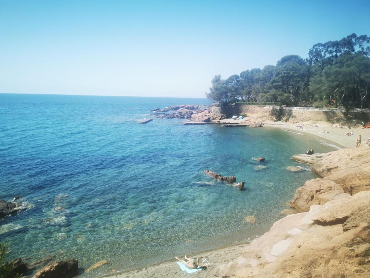 Mobil Home Neuf Camping L Ile Dor Plage St Raphael Avec Piscine Saint-Raphaël Eksteriør bilde